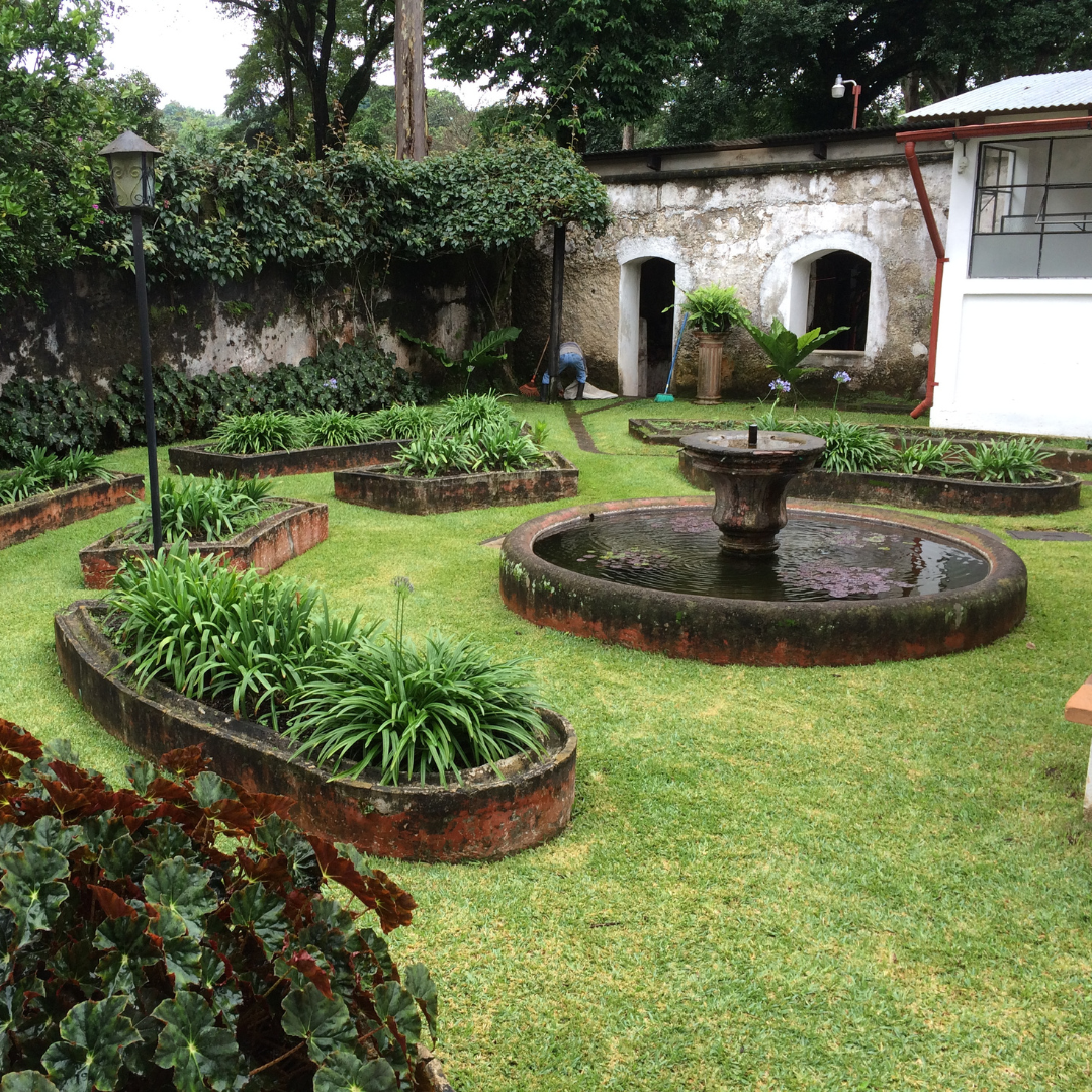 471.25卡佩提洛莊園 Capetillo Farm.帕卡瑪拉.日曬處理法.安提瓜(APCA)