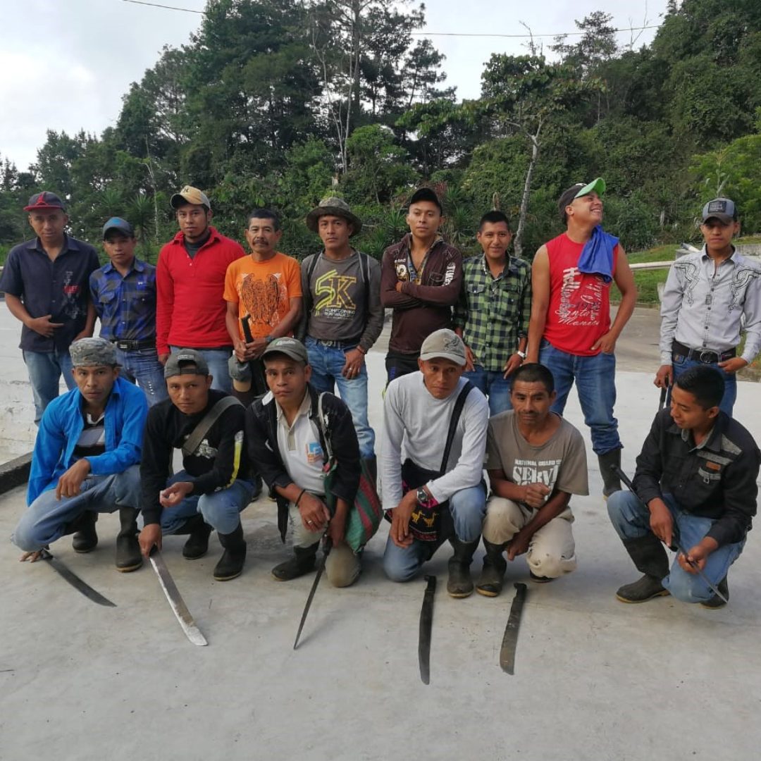 265.25 卡里布斯山莊園・藝伎・水洗處理法・拉斯米納斯寶礦山脈