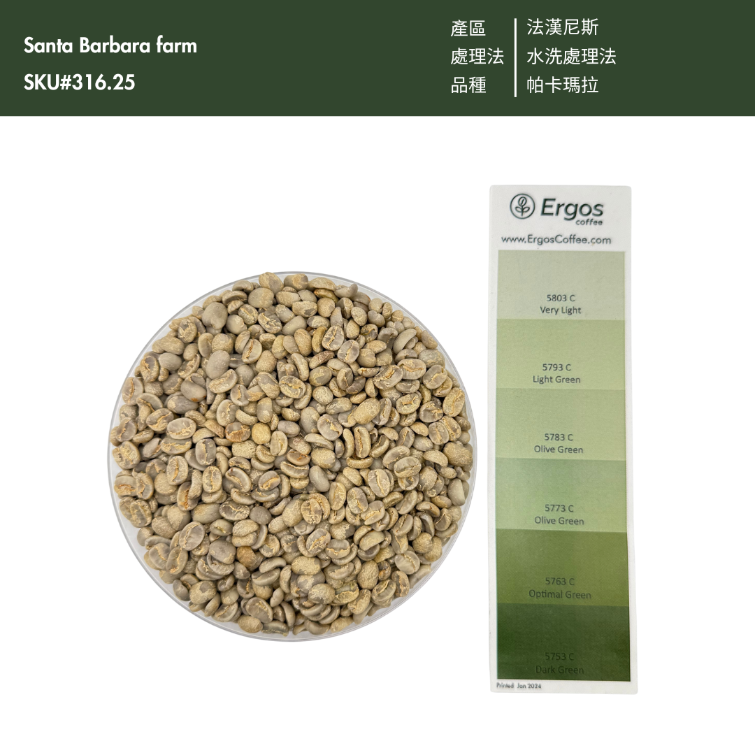 316.25 聖巴巴拉莊園Santa Barbara・帕卡瑪拉・水洗處理法・法漢尼斯