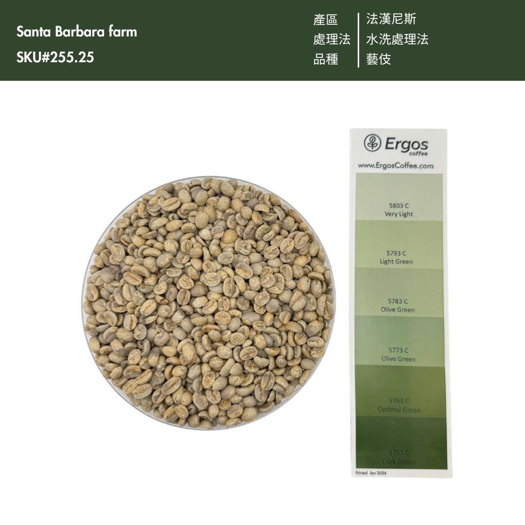 255.25 聖巴巴拉莊園Santa Barbara・藝伎・水洗處理法・法漢尼斯