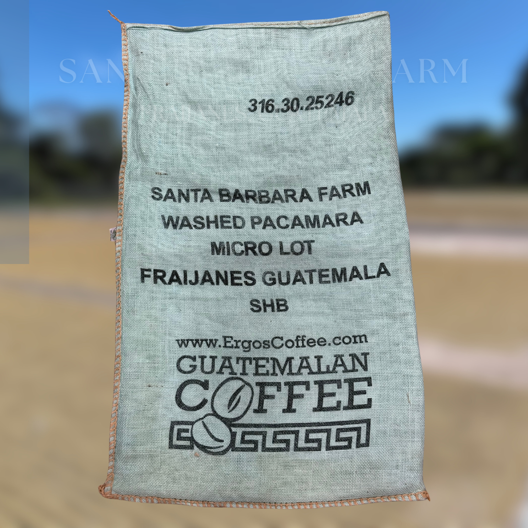 316.25 聖巴巴拉莊園Santa Barbara・帕卡瑪拉・水洗處理法・法漢尼斯