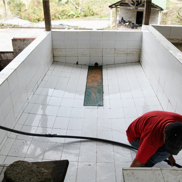 463.25 San Lorenzo Farm 綠山莊園 .卡杜拉、卡杜艾.水洗處理法.科班雨林