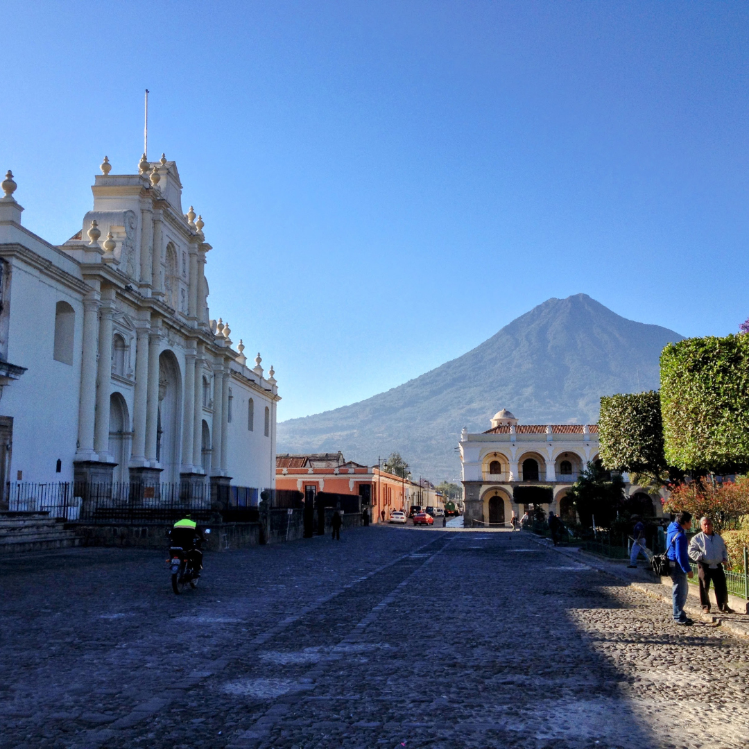 701B 瑪格麗特花神咖啡 Margarita Coffee.圓豆.水洗處理法.安提瓜