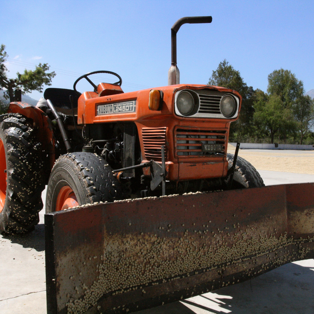 701B 瑪格麗特花神咖啡 Margarita Coffee.圓豆.水洗處理法.安提瓜