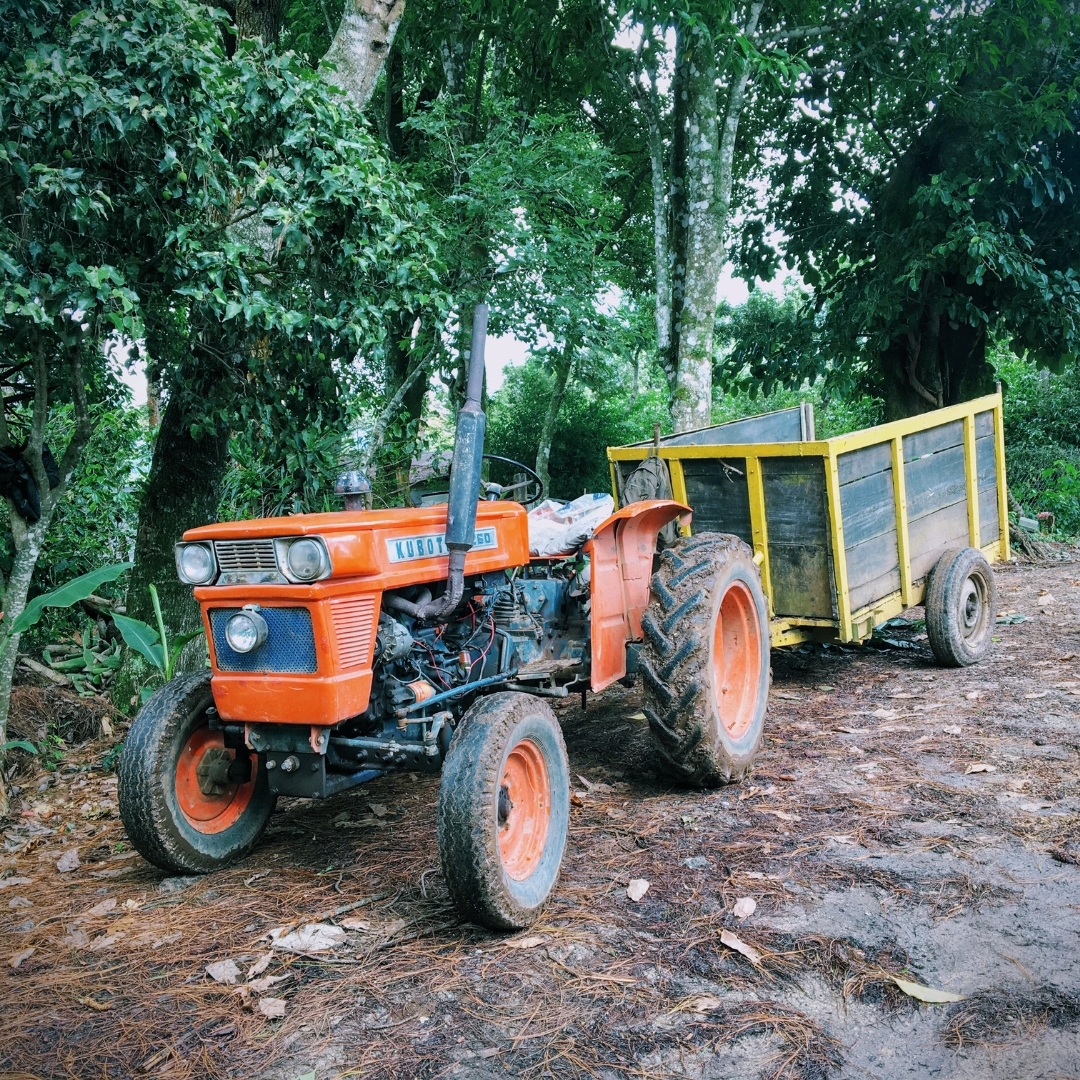 316.25 聖巴巴拉莊園Santa Barbara・帕卡瑪拉・水洗處理法・法漢尼斯