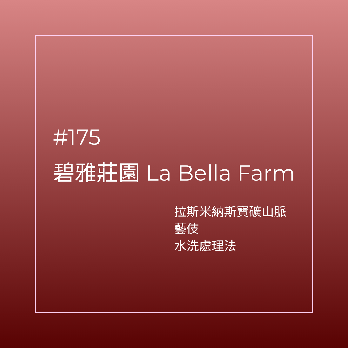 175.25 碧雅莊園 Finca La Bella.藝伎.水洗處理法.拉斯米納斯寶礦山脈