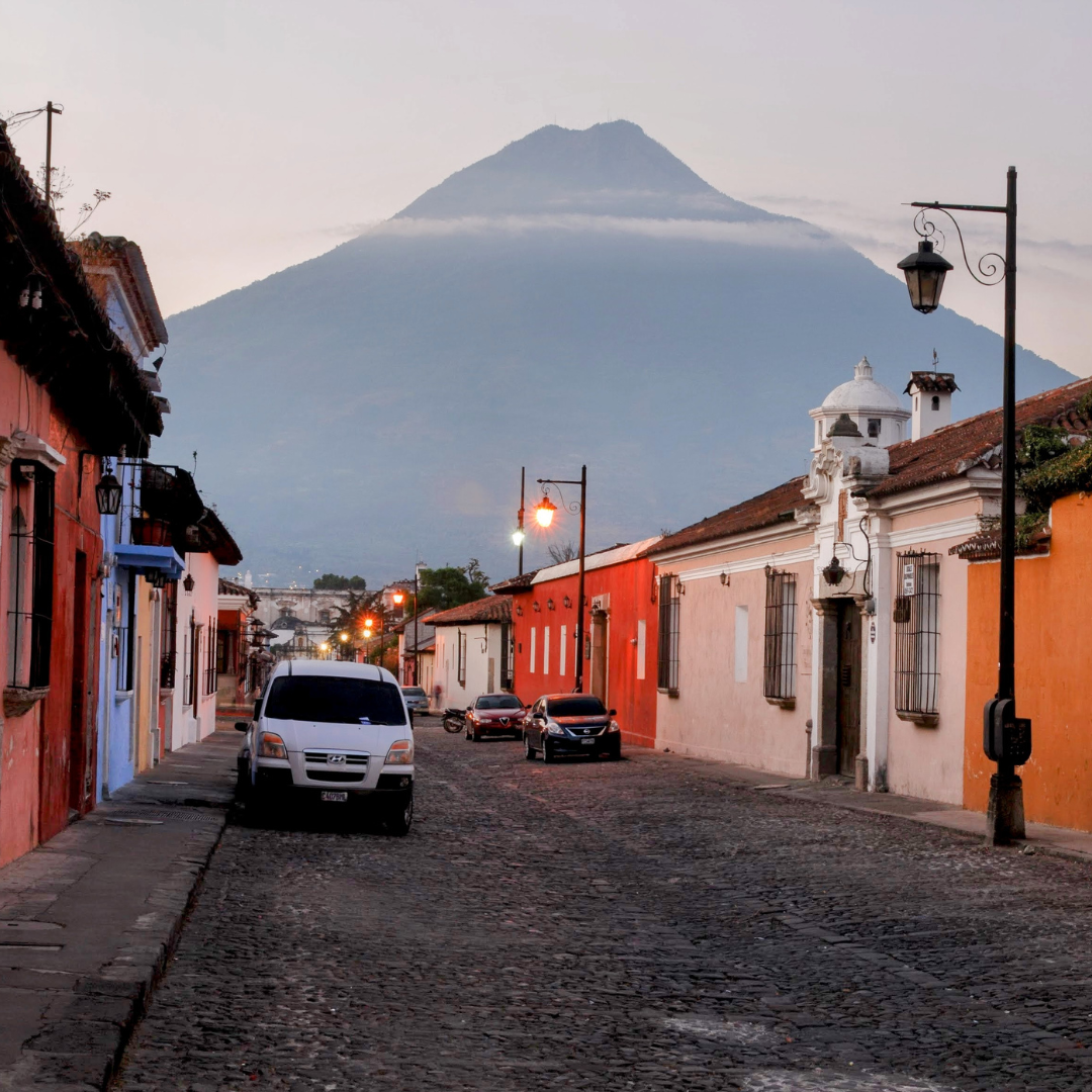 701B 瑪格麗特花神咖啡 Margarita Coffee.圓豆.水洗處理法.安提瓜