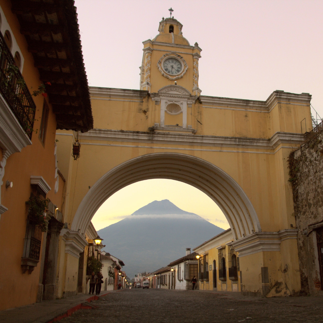701B 瑪格麗特花神咖啡 Margarita Coffee.圓豆.水洗處理法.安提瓜