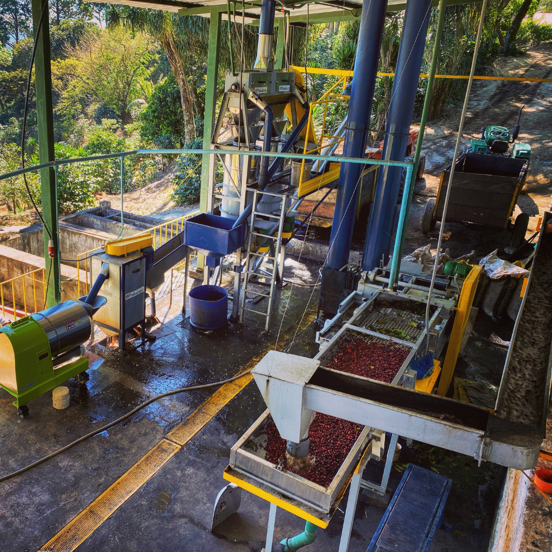 316.25 聖巴巴拉莊園Santa Barbara・帕卡瑪拉・水洗處理法・法漢尼斯