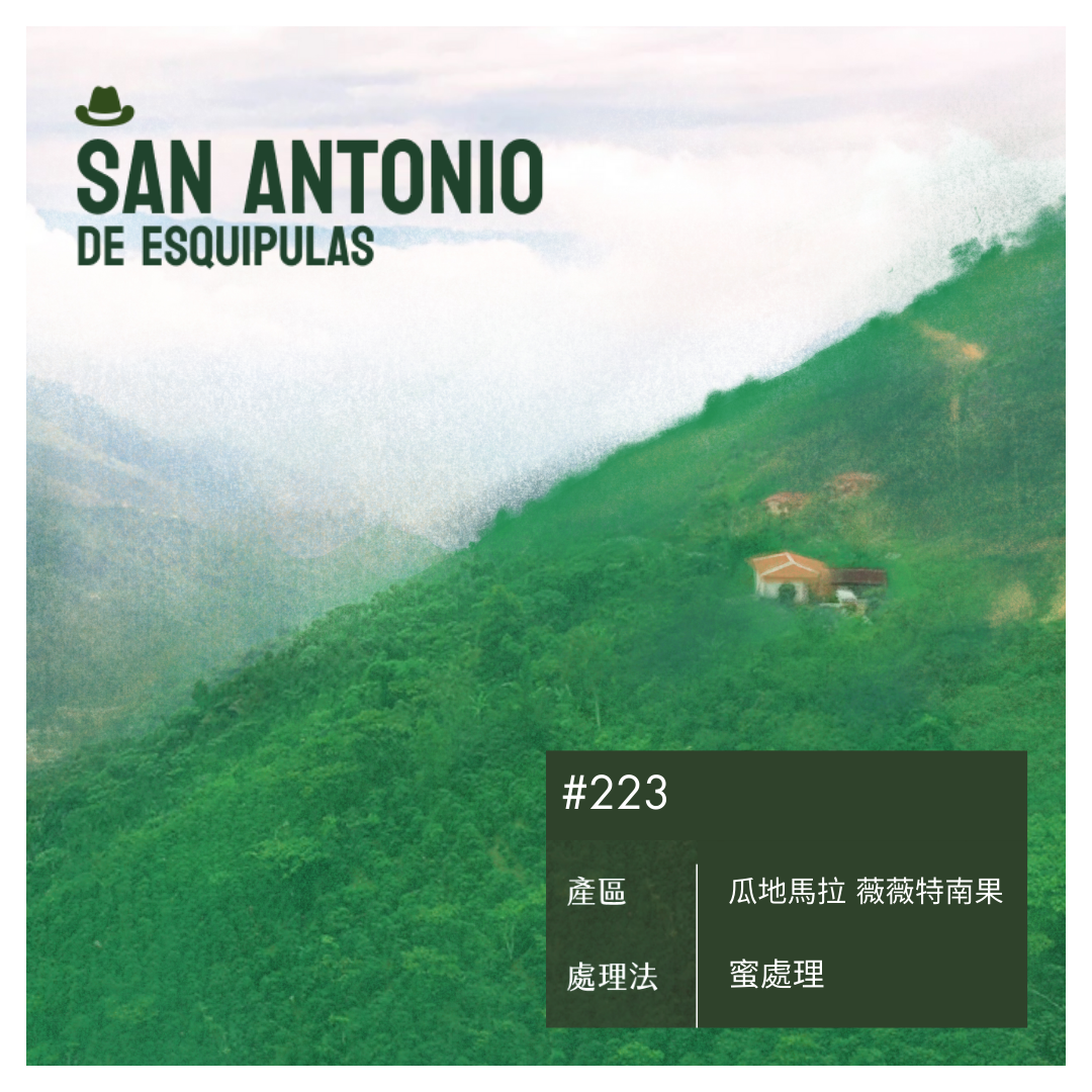 223 聖安東尼奧莊園 San Antonio Farm・波旁(Bourbon)・蜜處理・薇薇特南果