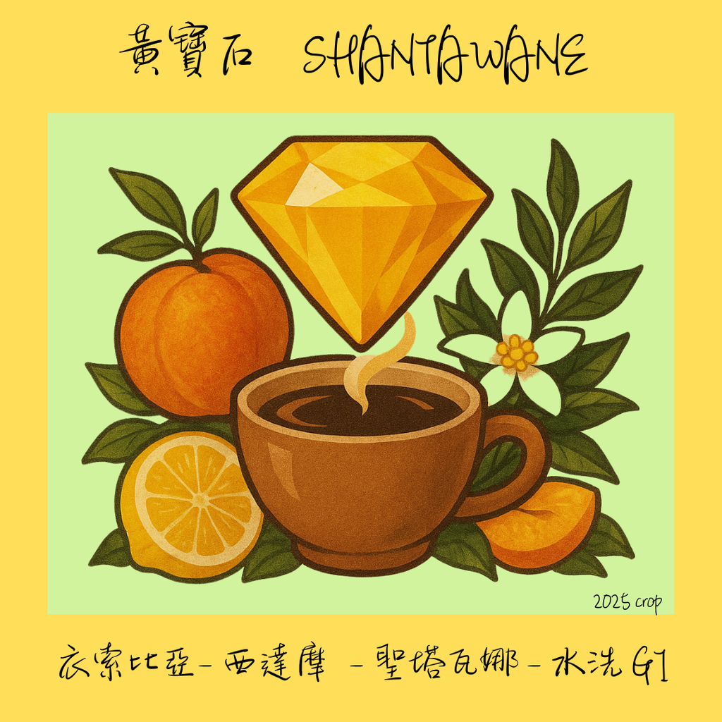 黃寶石- 西達摩聖塔瓦娜水洗G1 - 西達摩- 原生種- 水洗處理法- OIC# 10
