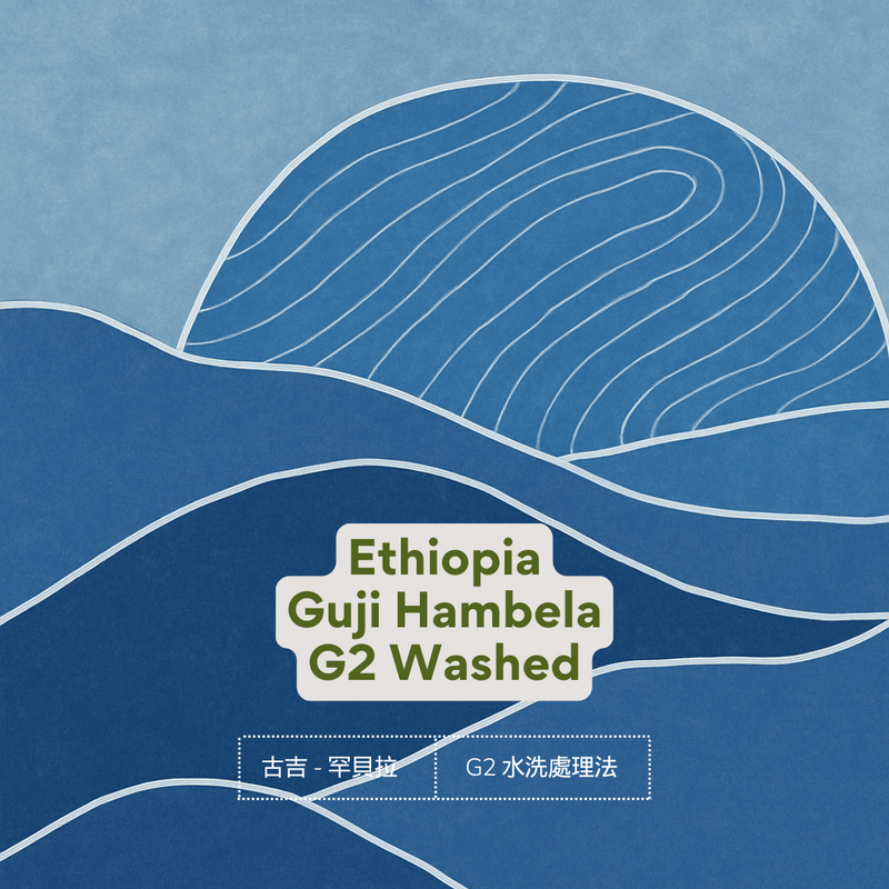 324 衣索比亞・古吉・罕貝拉・水洗・G2