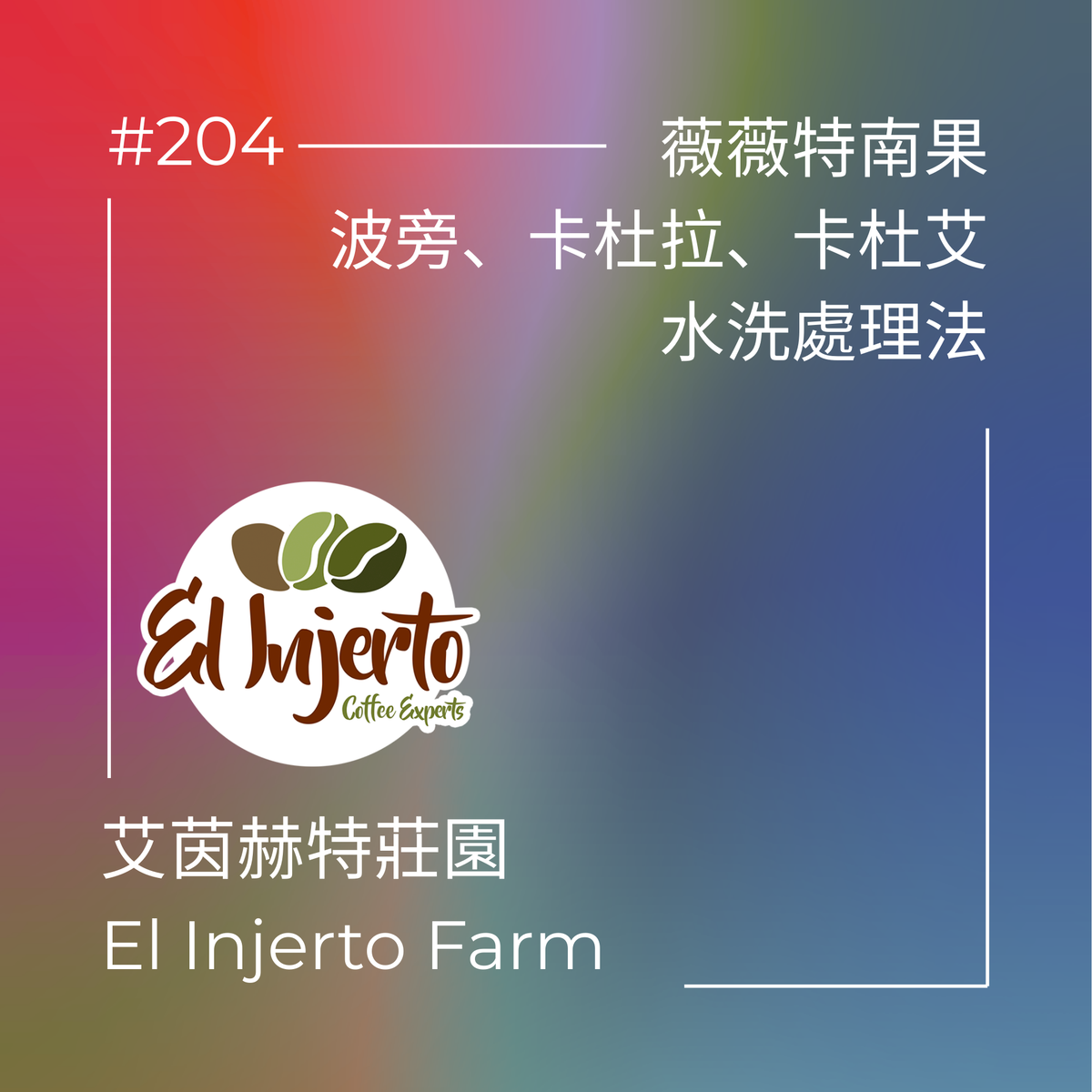 204.25 艾茵赫特莊園 El Injerto・波旁、卡杜拉、卡杜艾・水洗處理法・薇薇特南果