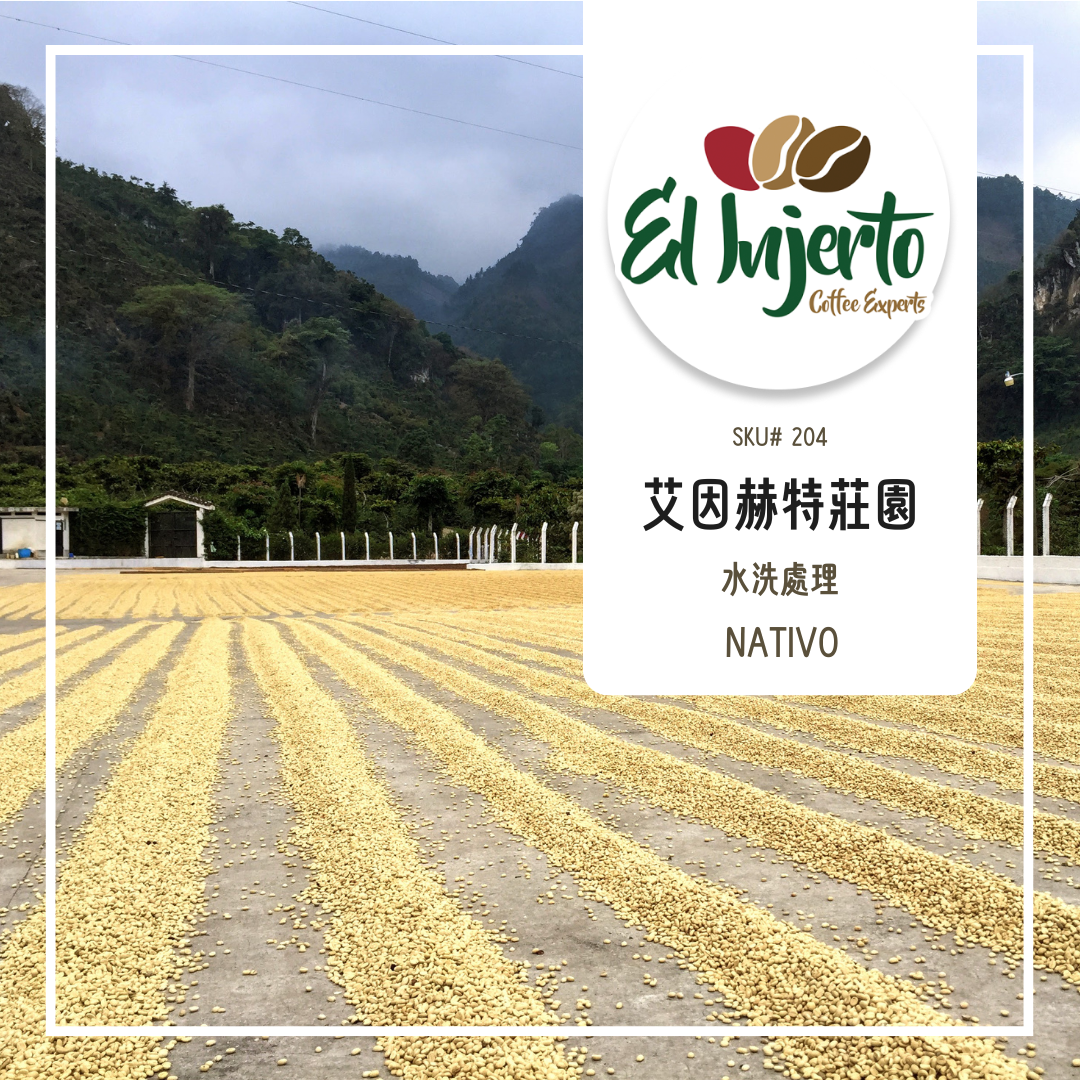 204.25 艾茵赫特莊園 El Injerto・波旁、卡杜拉、卡杜艾・水洗處理法・薇薇特南果