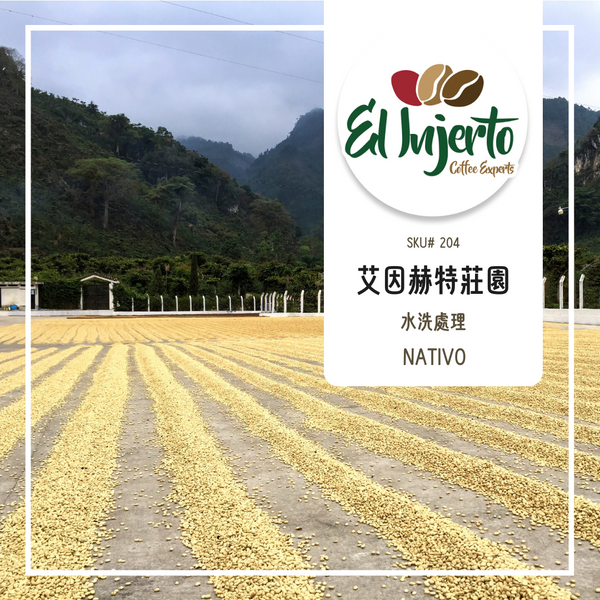 204.25 艾茵赫特莊園 El Injerto・波旁、卡杜拉、卡杜艾・水洗處理法・薇薇特南果