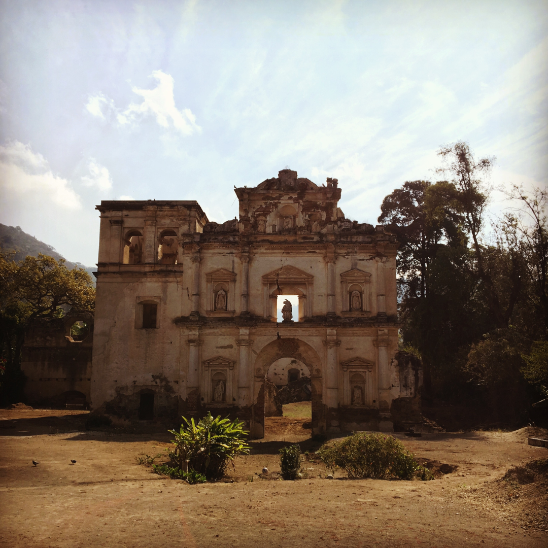 701B 瑪格麗特花神咖啡 Margarita Coffee.圓豆.水洗處理法.安提瓜