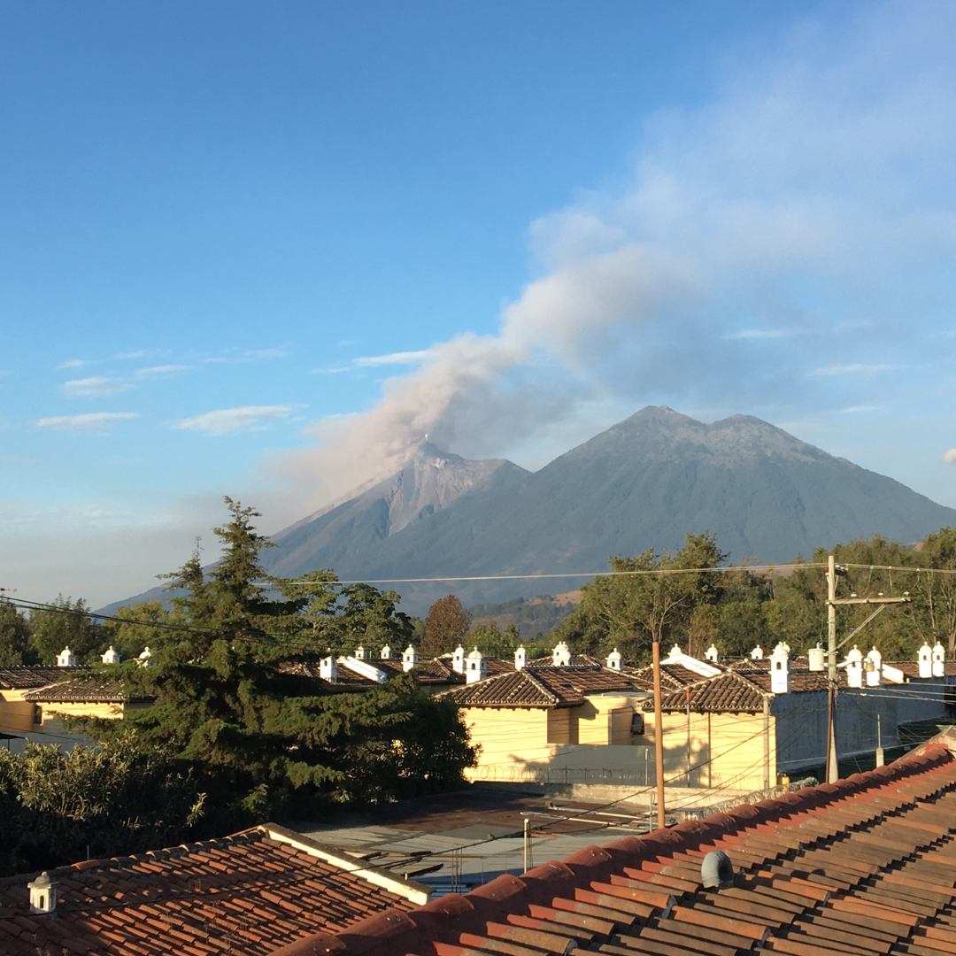 701B 瑪格麗特花神咖啡 Margarita Coffee.圓豆.水洗處理法.安提瓜