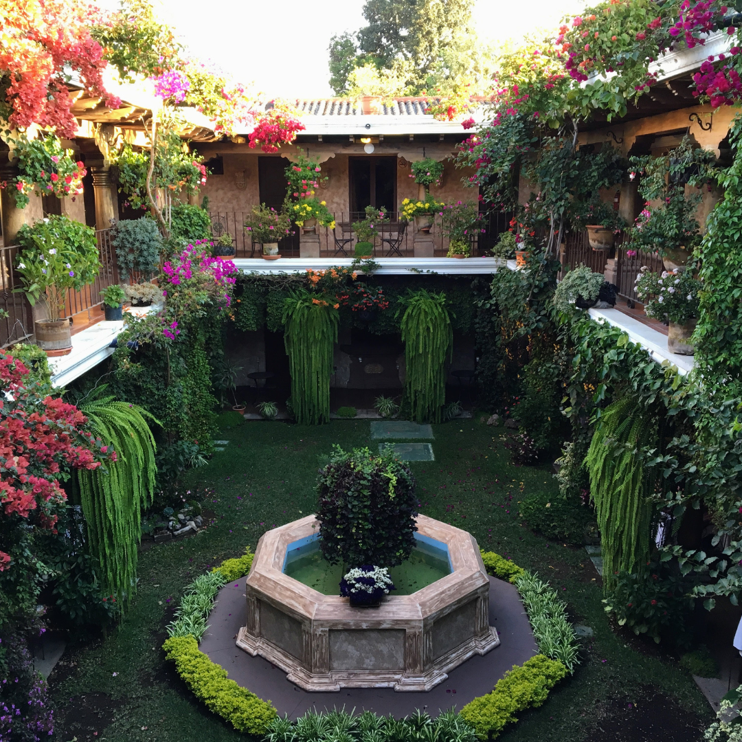 701B 瑪格麗特花神咖啡 Margarita Coffee.圓豆.水洗處理法.安提瓜