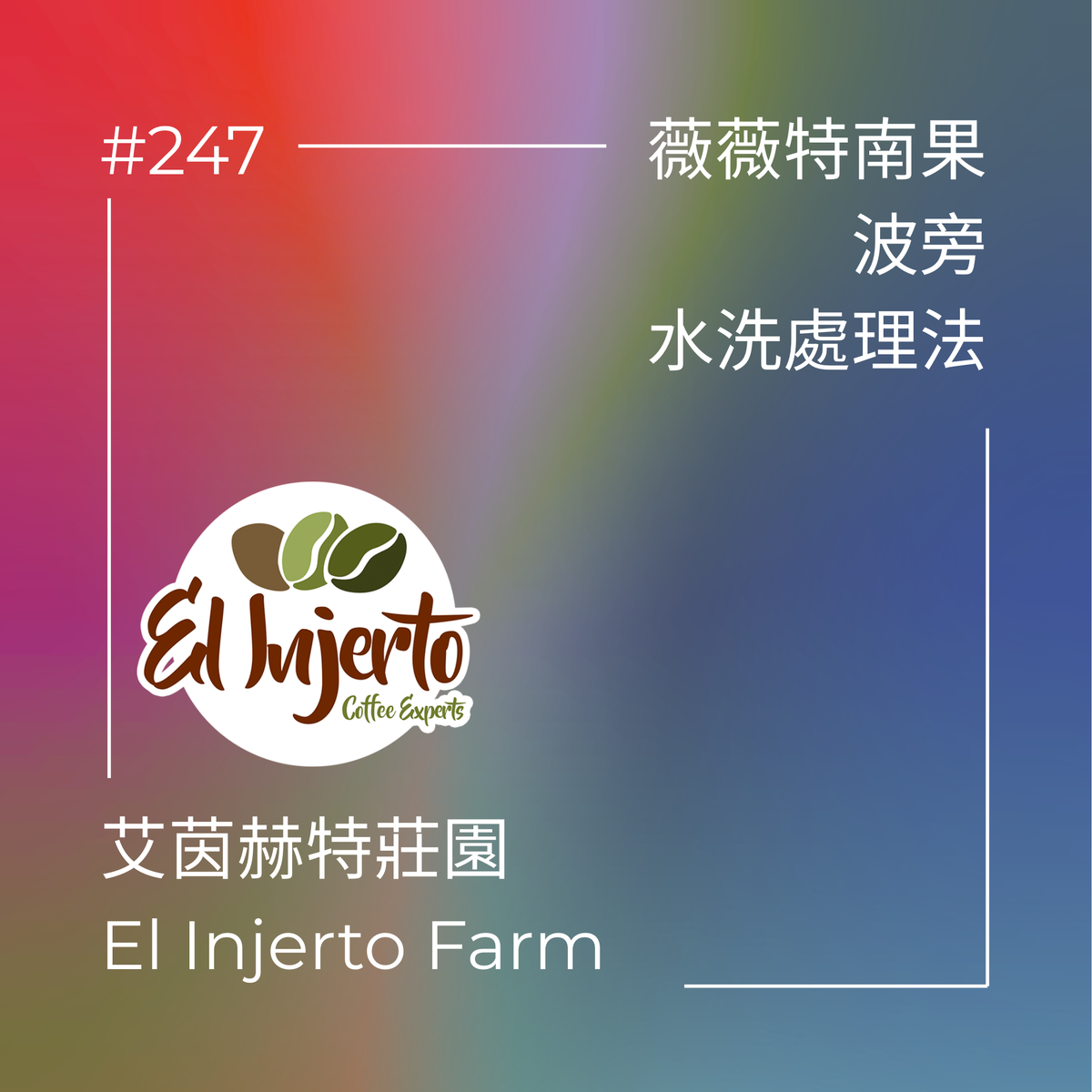 247.25 艾茵赫特莊園 El Injerto・波旁・水洗處理法・瓜地馬拉薇薇特南果