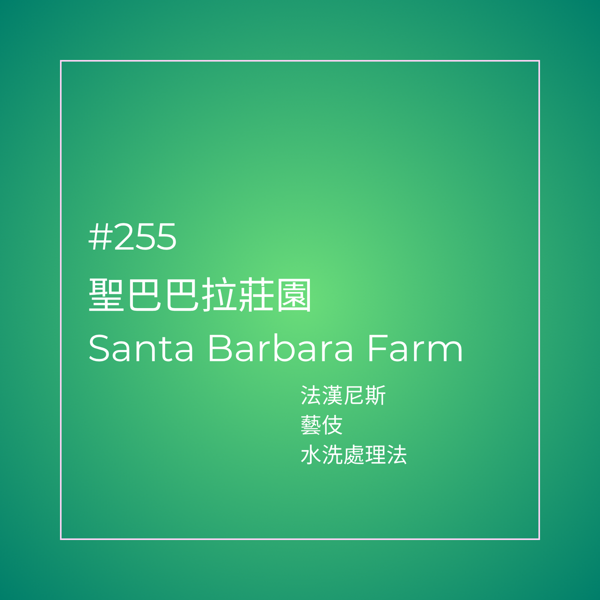 255.25 聖巴巴拉莊園Santa Barbara・藝伎・水洗處理法・法漢尼斯