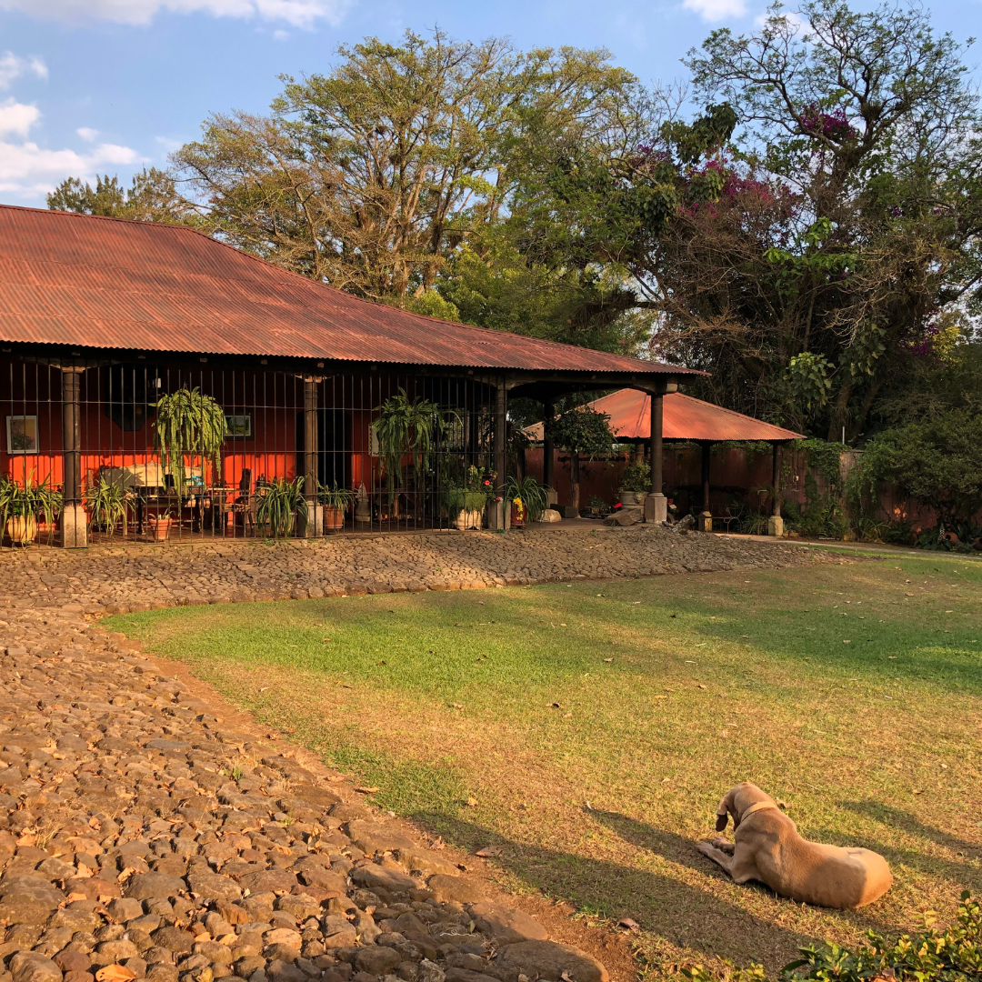 316.25 聖巴巴拉莊園Santa Barbara・帕卡瑪拉・水洗處理法・法漢尼斯