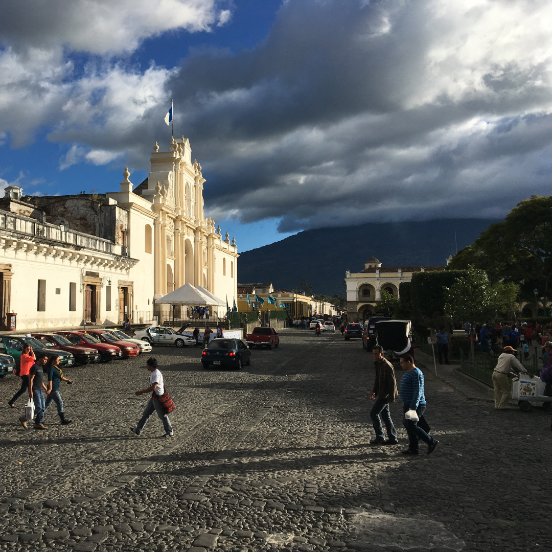 701B 瑪格麗特花神咖啡 Margarita Coffee.圓豆.水洗處理法.安提瓜