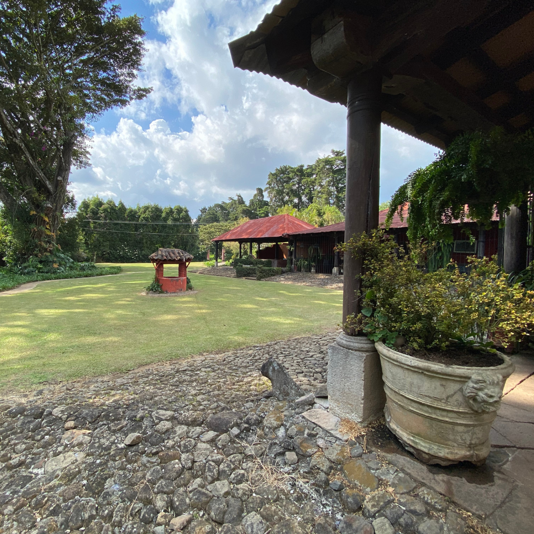 316.25 聖巴巴拉莊園Santa Barbara・帕卡瑪拉・水洗處理法・法漢尼斯