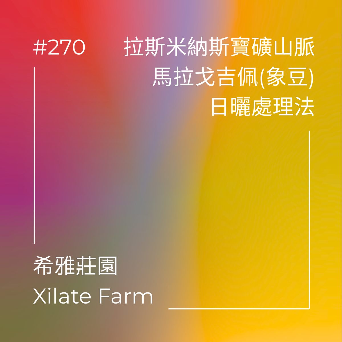 270.25 希雅莊園Xilate Farm.象豆.日曬處理法.拉斯米納斯寶礦山脈