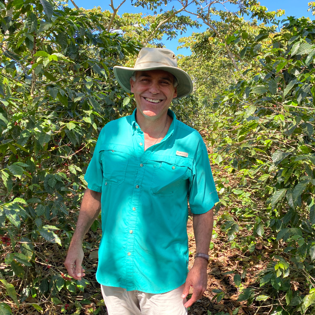 316.25 聖巴巴拉莊園Santa Barbara・帕卡瑪拉・水洗處理法・法漢尼斯