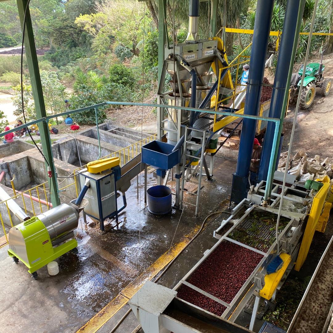 316.25 聖巴巴拉莊園Santa Barbara・帕卡瑪拉・水洗處理法・法漢尼斯