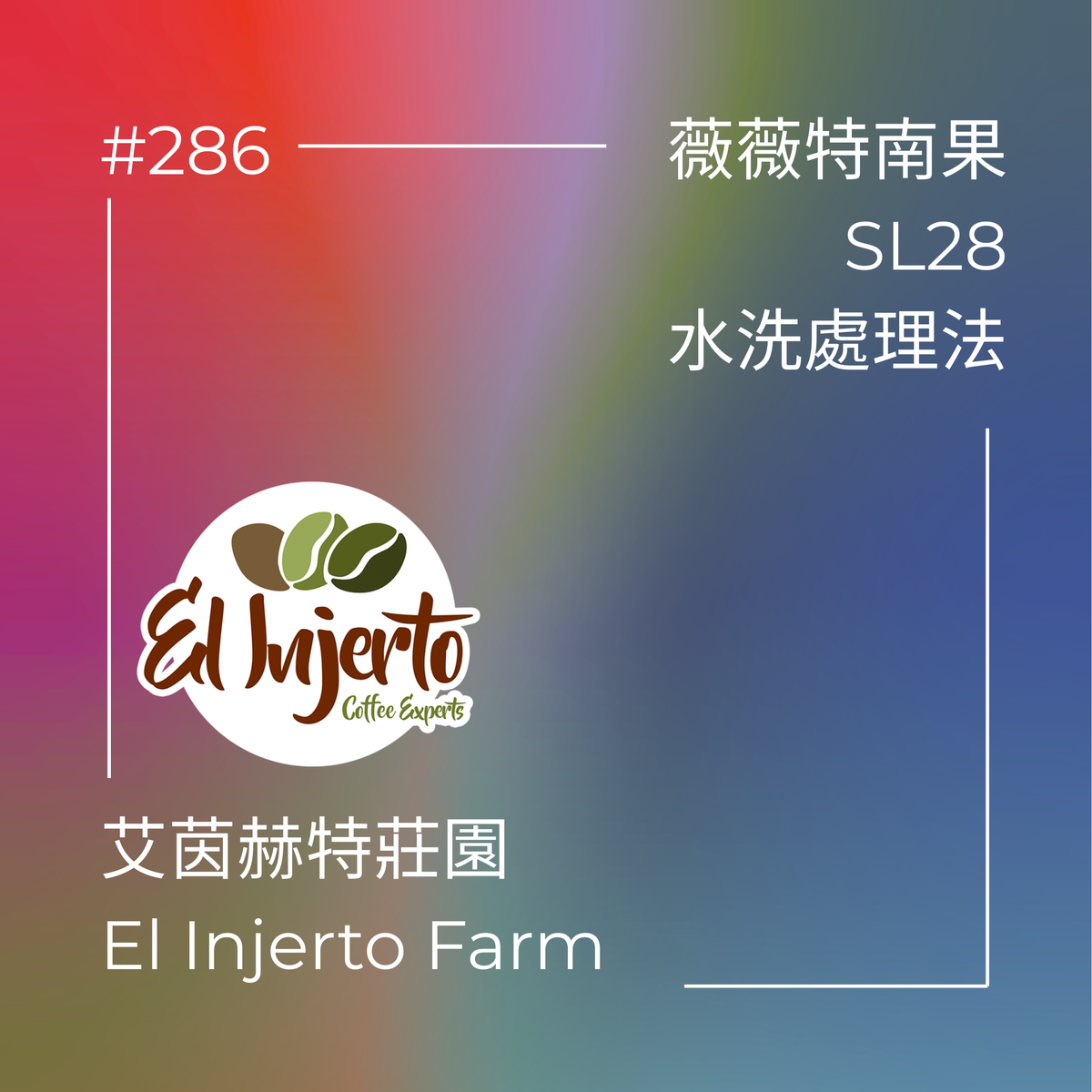 286.25 艾茵赫特莊園 El Injerto・SL28・水洗處理法・瓜地馬拉 薇薇特南果