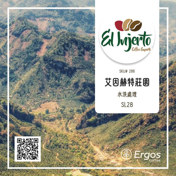 286.25 艾茵赫特莊園 El Injerto・SL28・水洗處理法・瓜地馬拉 薇薇特南果