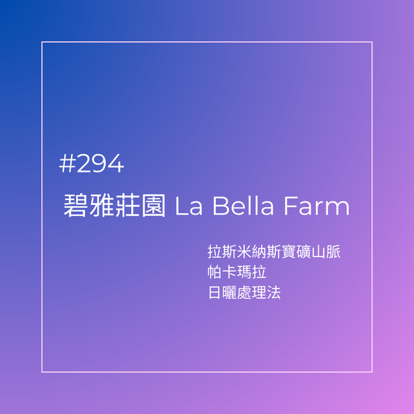 294.25 碧雅莊園 Finca La Bella・帕卡瑪拉・日曬處理法・拉斯米納斯寶礦山脈