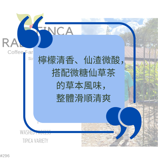 632.25 哈瓦那莊園 Rabanales Farm.新世界.水洗處理法.法漢尼斯