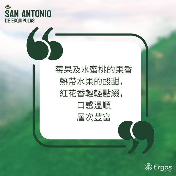 340 聖安東尼奧莊園 San Antonio Farm・波旁・日曬處理法・薇薇特南果