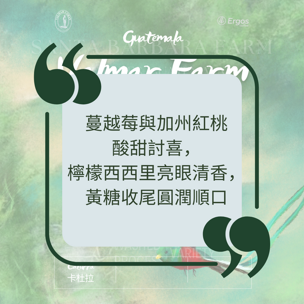 335.25 瓦爾瑪莊園 Finca Valmar.卡杜拉.水洗處理法.科班雨林