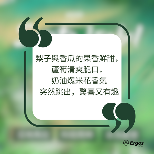 359.25 聖伊莎貝爾莊園 Finca Santa Isabel.卡杜拉、卡杜艾.水洗處理法.科班雨林