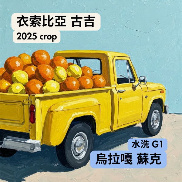 313 “檸檬皮卡”熱賣中!衣索比亞・古吉・烏拉嘎・蘇克・水洗・G1