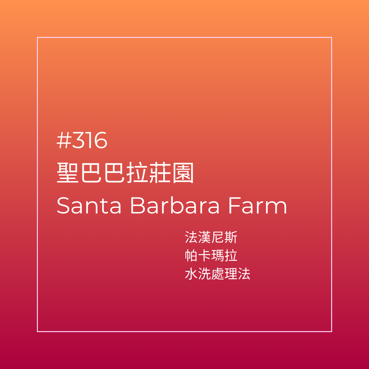 316.25 聖巴巴拉莊園Santa Barbara・帕卡瑪拉・水洗處理法・法漢尼斯