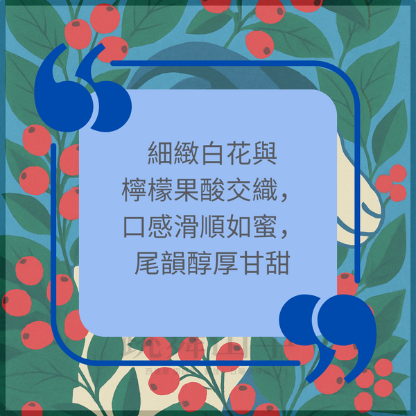 317 "跳舞山羊"開賣!衣索比亞・西阿希・南西寶・藝伎・水洗・G1