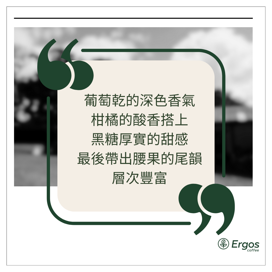 339 卡佩提洛莊園 Capetillo Farm - 安提瓜(APCA) - 圓豆 Peaberry - 水洗處理法