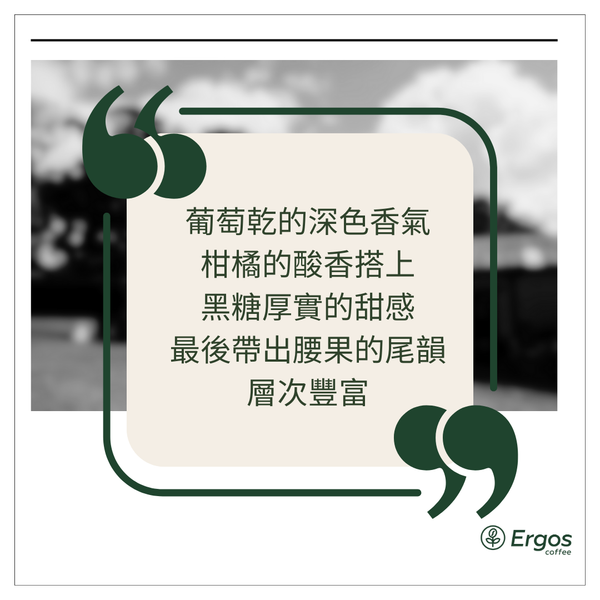 339 卡佩提洛莊園 Capetillo Farm - 安提瓜(APCA) - 圓豆 Peaberry - 水洗處理法