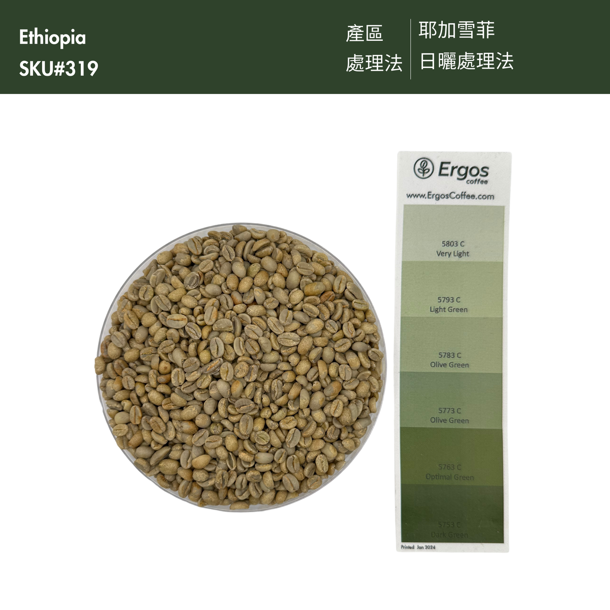 319 “哈囉哈囉”開賣!衣索比亞・耶加雪菲・哈洛貝利提處理廠 ・原生種 ・日曬・ G1