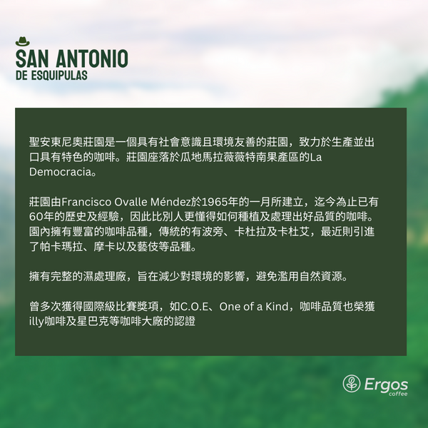 300 聖安東尼奧莊園 San Antonio Farm・波旁 (Bourbon)・水洗處理法・薇薇特南果