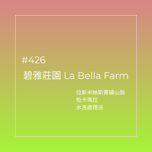426.25 碧雅莊園 Finca La Bella・帕卡瑪拉・水洗處理法・拉斯米納斯寶礦山脈