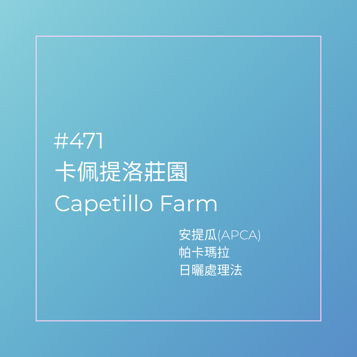 471.25卡佩提洛莊園 Capetillo Farm.帕卡瑪拉.日曬處理法.安提瓜(APCA)