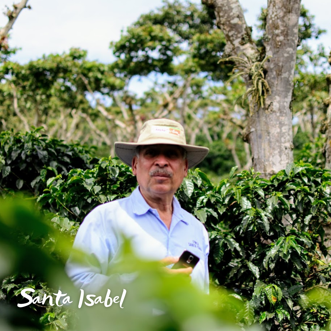 359.25 聖伊莎貝爾莊園 Finca Santa Isabel.卡杜拉、卡杜艾.水洗處理法.科班雨林