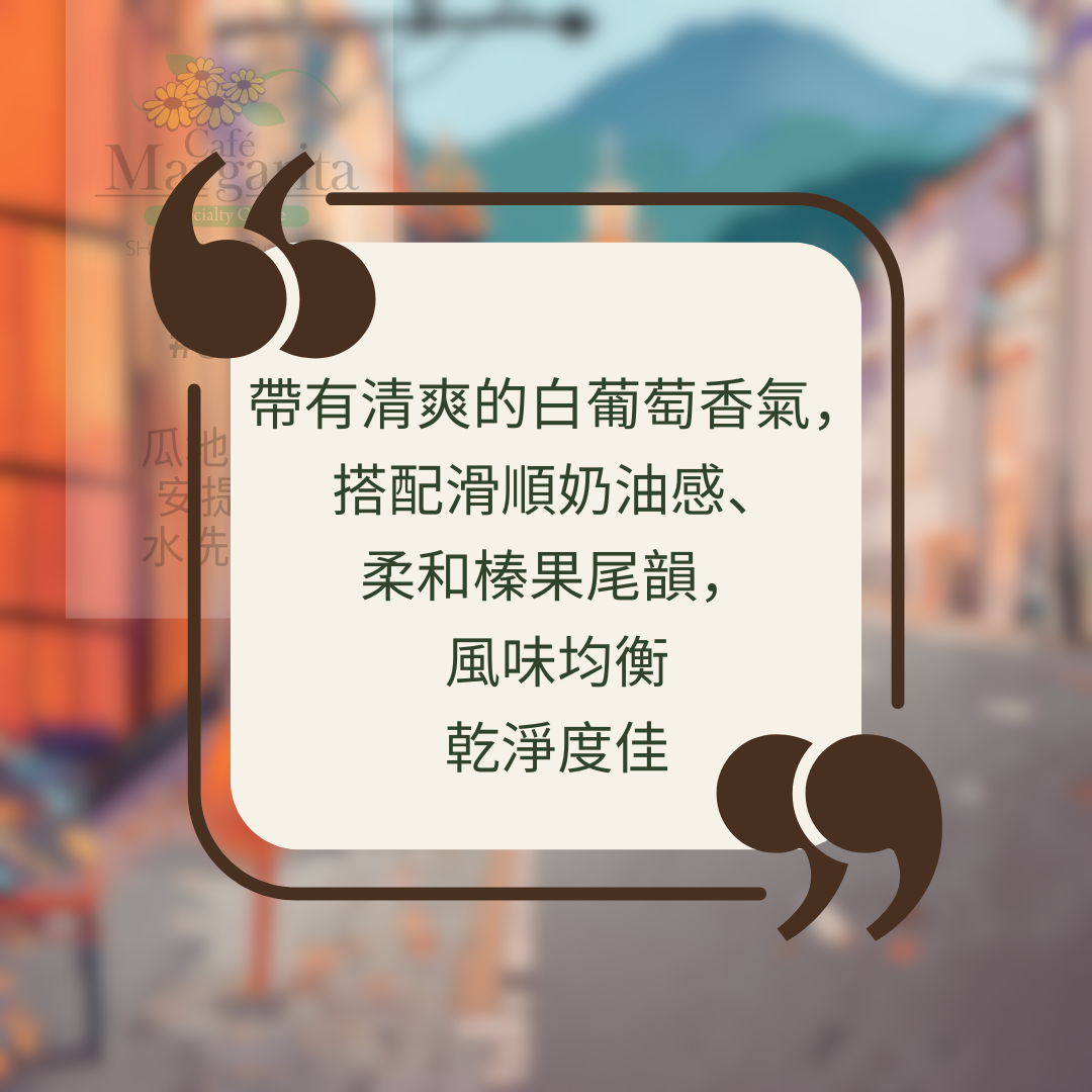 701B 瑪格麗特花神咖啡 Margarita Coffee.圓豆.水洗處理法.安提瓜