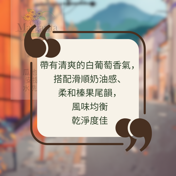 701B 瑪格麗特花神咖啡 Margarita Coffee.圓豆.水洗處理法.安提瓜