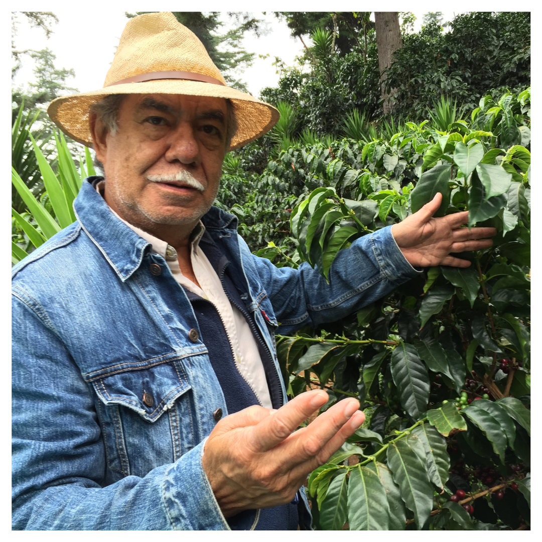 286.25 艾茵赫特莊園 El Injerto・SL28・水洗處理法・瓜地馬拉 薇薇特南果